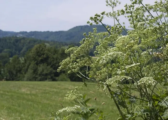 Szálloda Hotel Medno 3*